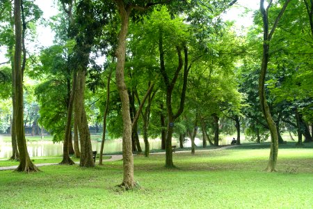 General view - Hanoi Botanical Garden - Hanoi, Vietnam - DSC03557