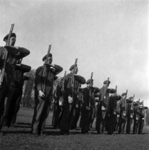 Generaal Kruls, Bestanddeelnr 901-4960
