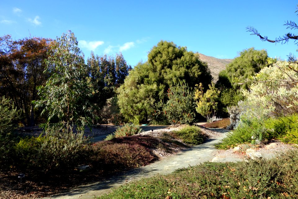 General view - Leaning Pine Arboretum - DSC05787