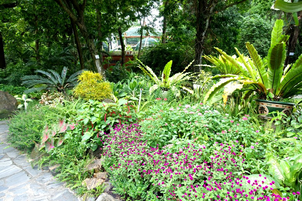 General view - Saigon Zoo and Botanical Gardens - Ho Chi Minh City, Vietnam - DSC01291
