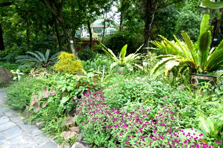 General view - Saigon Zoo and Botanical Gardens - Ho Chi Minh City, Vietnam - DSC01291