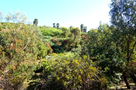 General view - Jardín Botánico de Barcelona - Barcelona, Spain - DSC09033