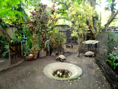 General view - Guam Zoological, Botanical and Marine Garden - DSC01076