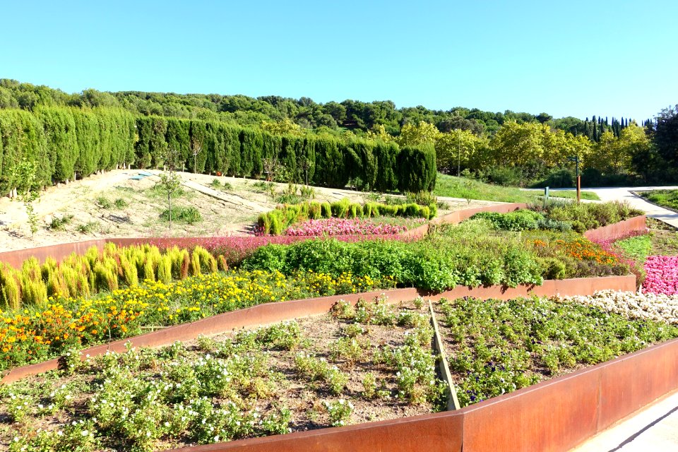 General view - Jardín Botánico de Barcelona - Barcelona, Spain - DSC09266