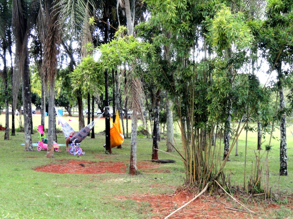 General view - Jardim Zoológico de Brasília - DSC09899