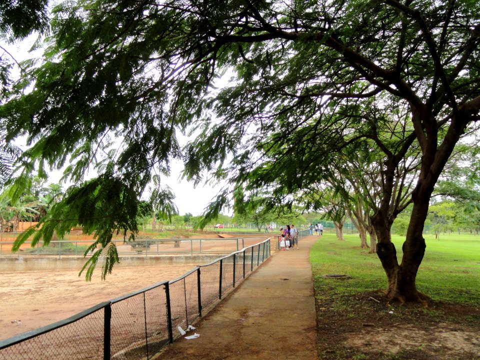 General view - Jardim Zoológico de Brasília - DSC09822