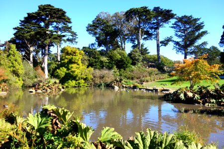 General view - San Francisco Botanical Garden - DSC09901 photo
