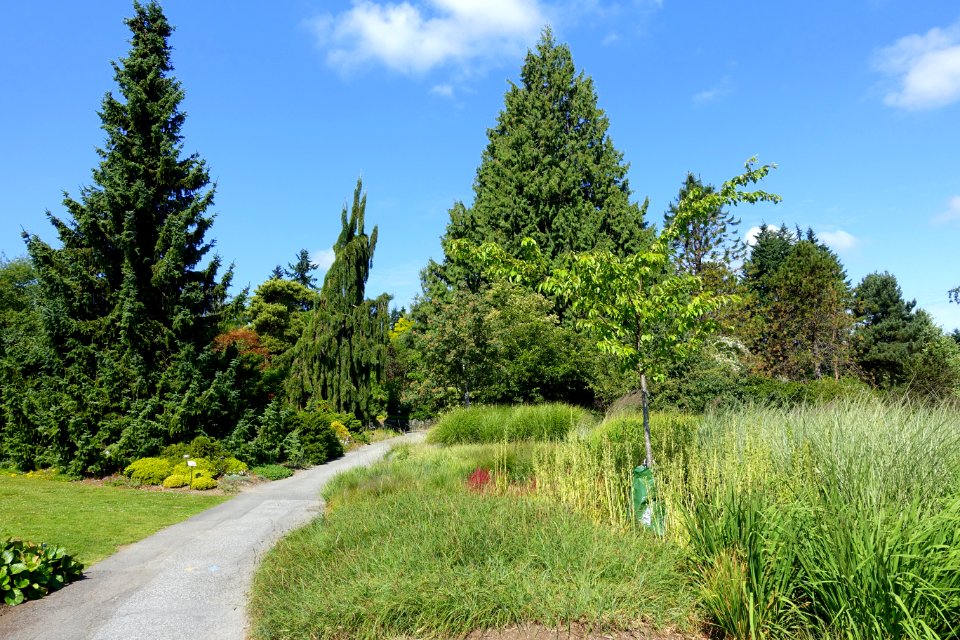 General view - VanDusen Botanical Garden - Vancouver, BC - DSC06731