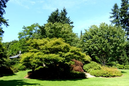 General view - VanDusen Botanical Garden - Vancouver, BC - DSC06839