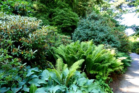 General view - VanDusen Botanical Garden - Vancouver, BC - DSC06806