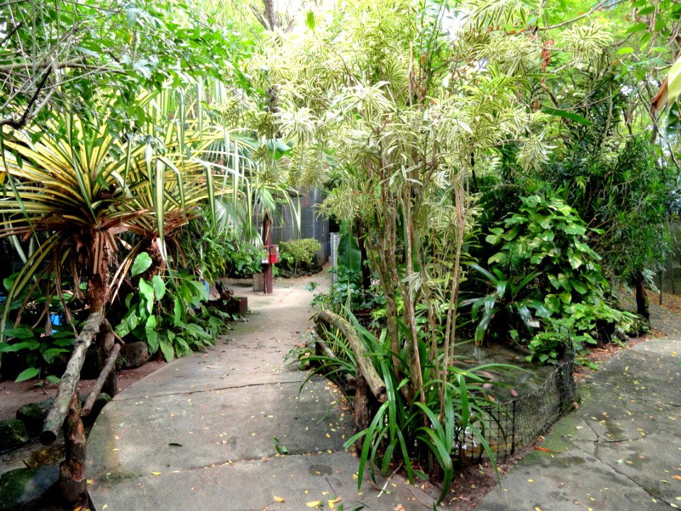General view - Guam Zoological, Botanical and Marine Garden - DSC01043