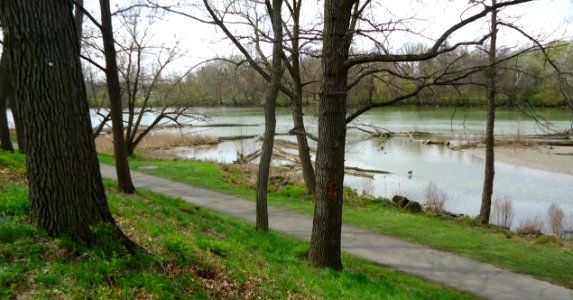 Genesee River with logs at the University of Rochester