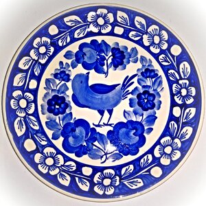 Blue white bird flower vine