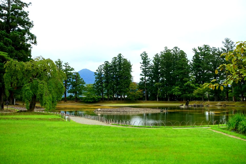 General view - Motsuji, Hiraizumi, Iwate - DSC04467
