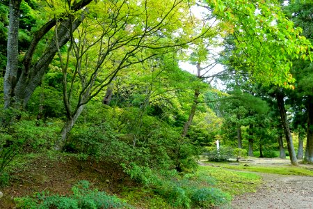 General view - Motsuji, Hiraizumi, Iwate - DSC04472