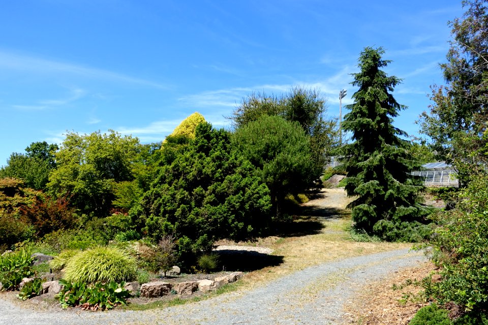 General view - UBC Botanical Garden - Vancouver, Canada - DSC08318