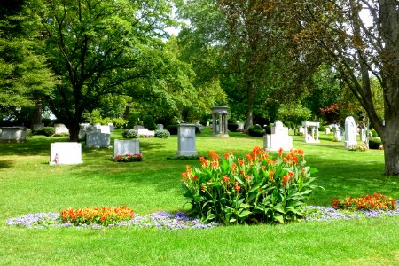 General view - Newton Cemetery & Arboretum - Newton Center, MA - DSC07121
