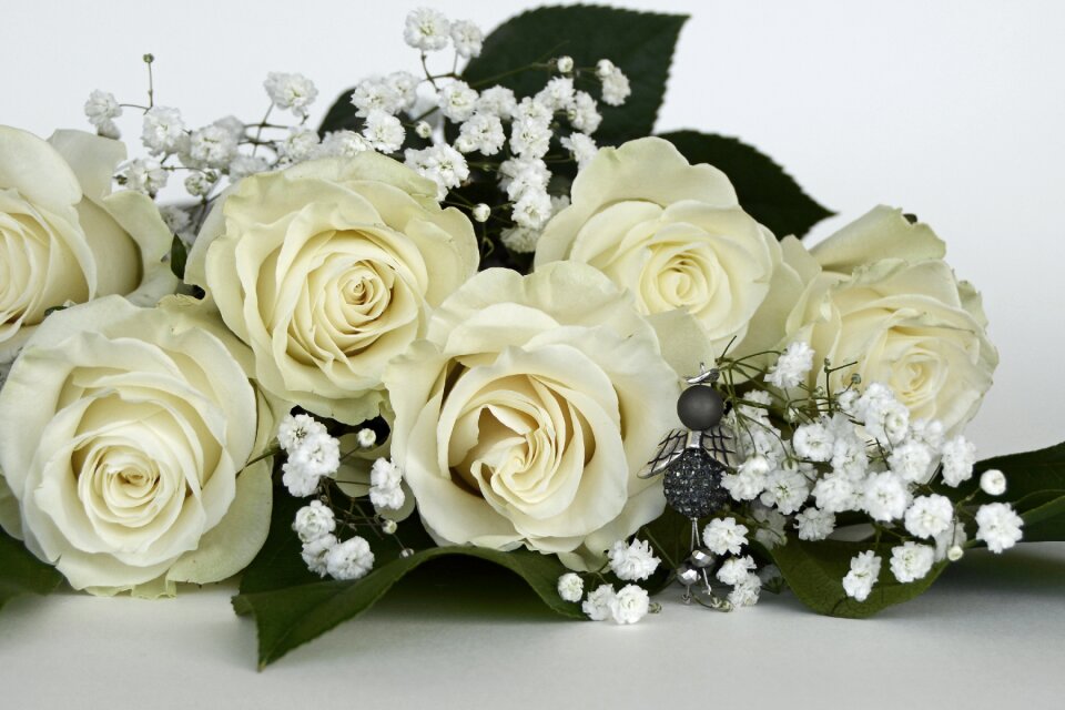 White angel gypsophila