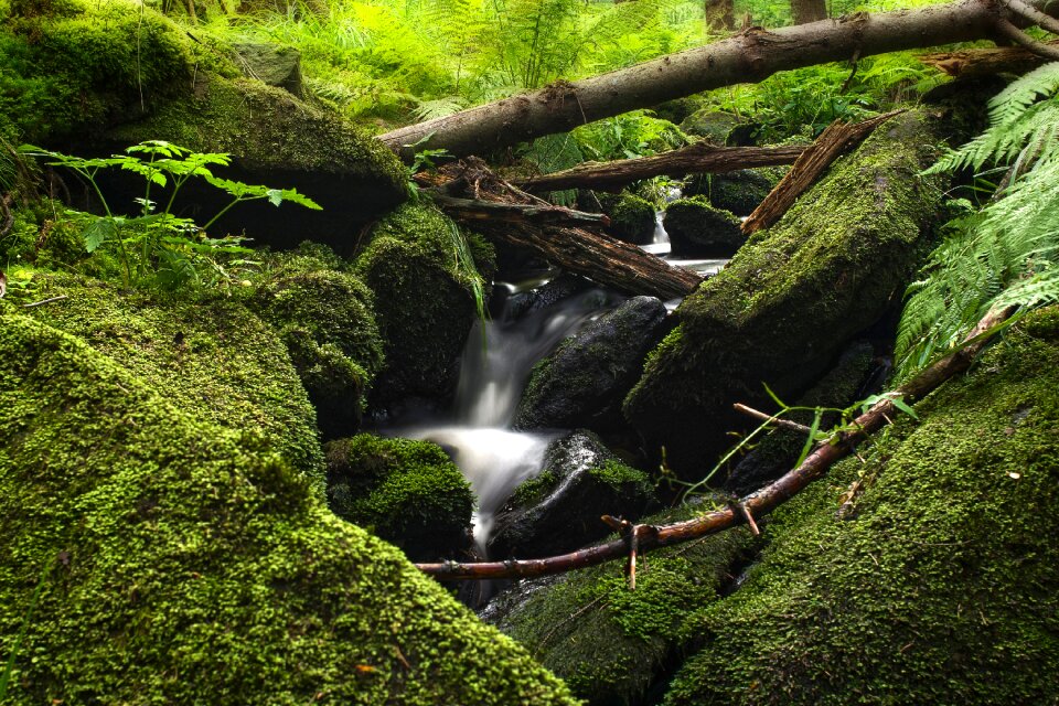 Running water stream stone