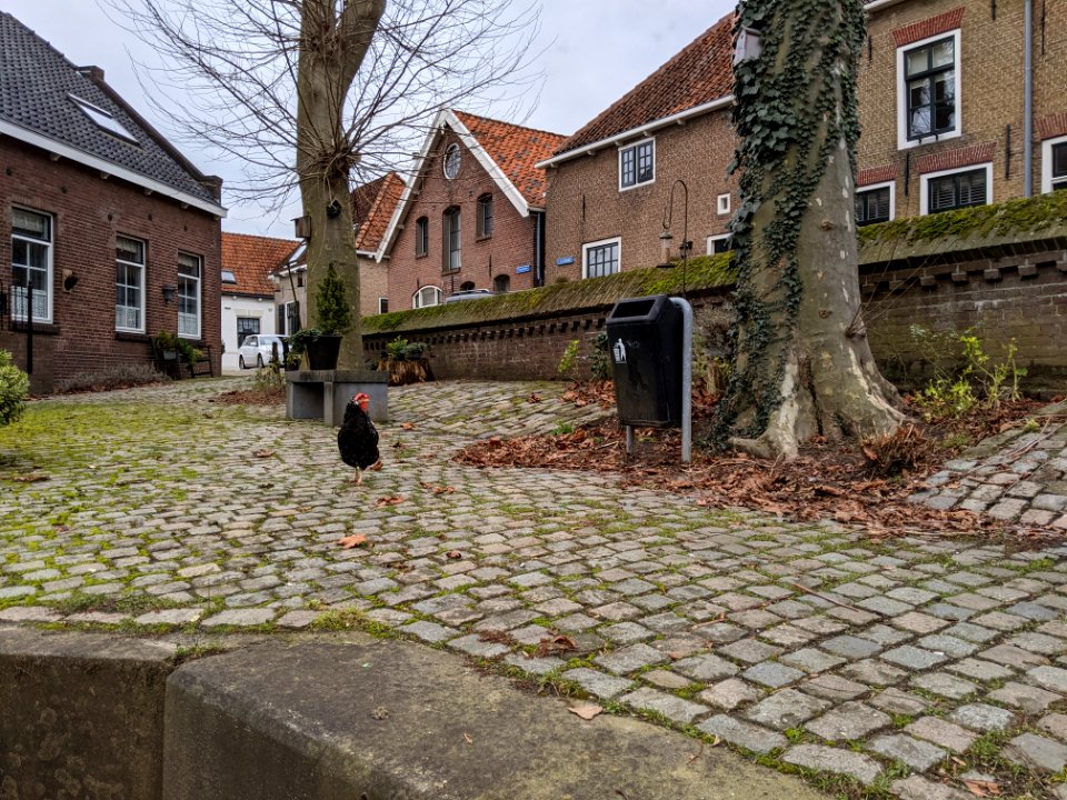 GemeentelijkeMonument-BER25-005