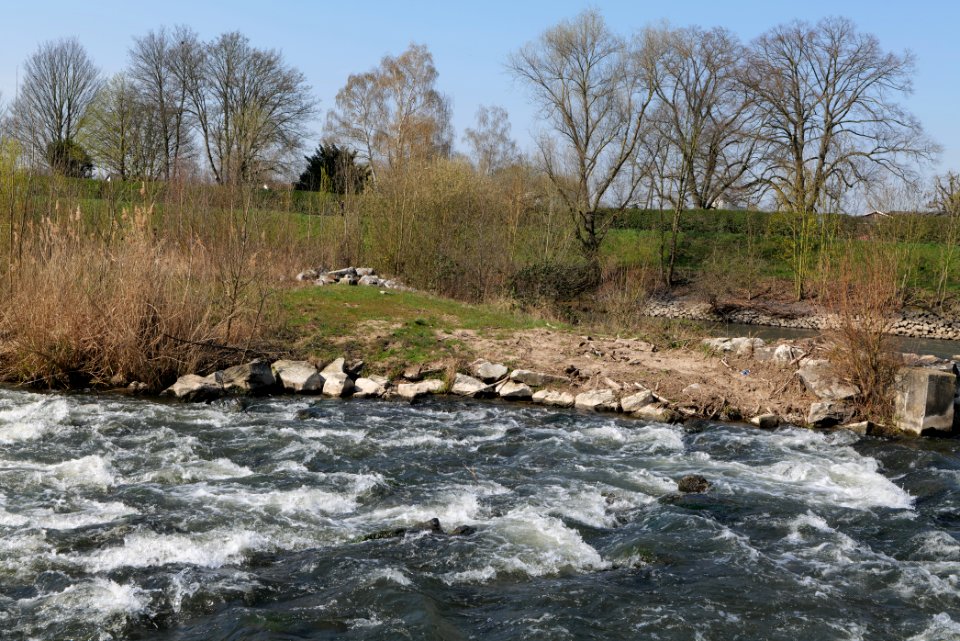 Höchster Wehr 2020-03-27 05