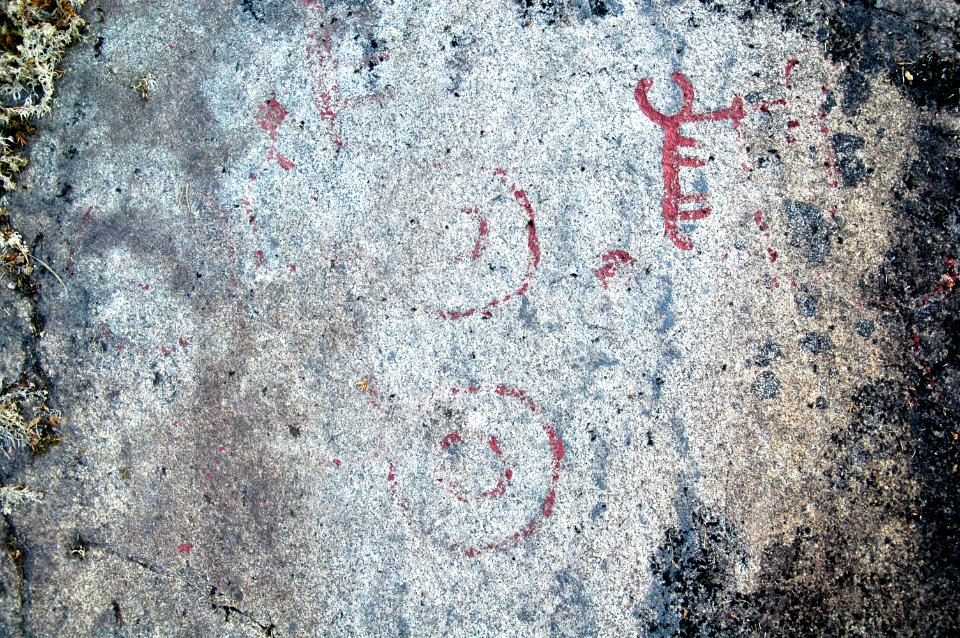Hällristningar två fyrhjuliga vagnar Tanum 120 1