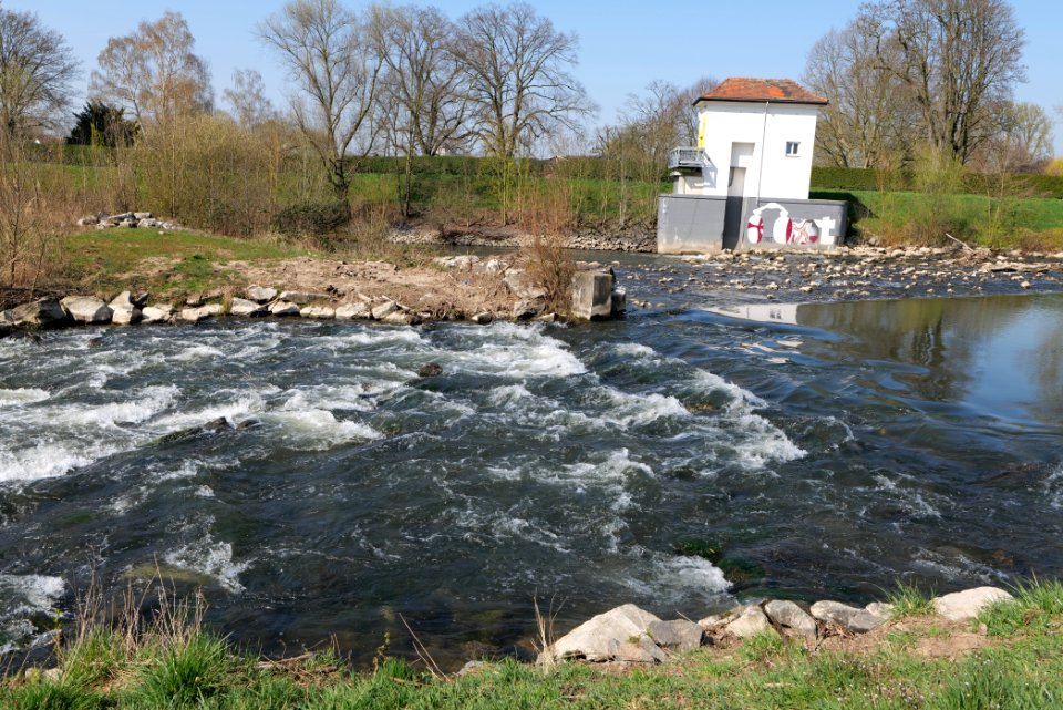 Höchster Wehr 2020-03-27 04