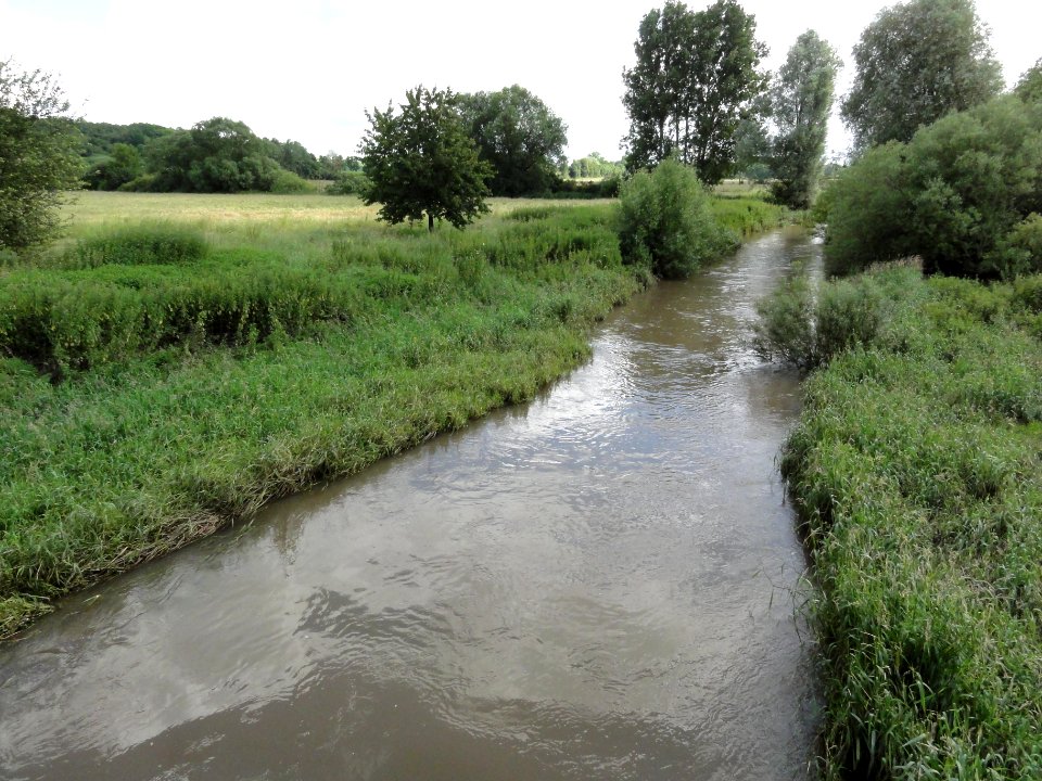 Hénamémil (M-et-M) le Sânon