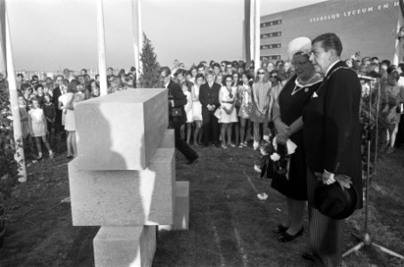 H. M. Kon. Juliana bezoekt Z. Limburg t.g.v. 25-j. herdenking van de bevrijding, Bestanddeelnr 922-7864
