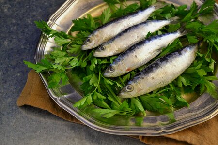 Parsley plated metallic plate