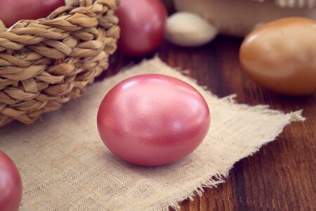 Colored egg hen's egg easter