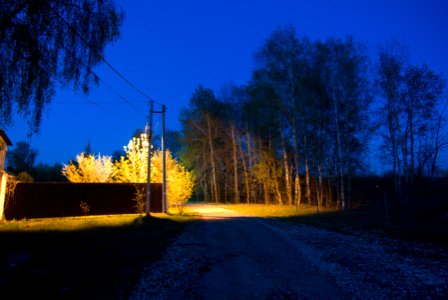 Gzelka