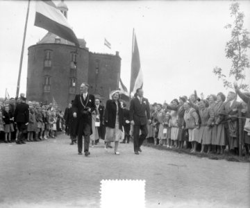 H. M. in Enkhuizen. Dromedaris op achtergrond, Bestanddeelnr 905-1791