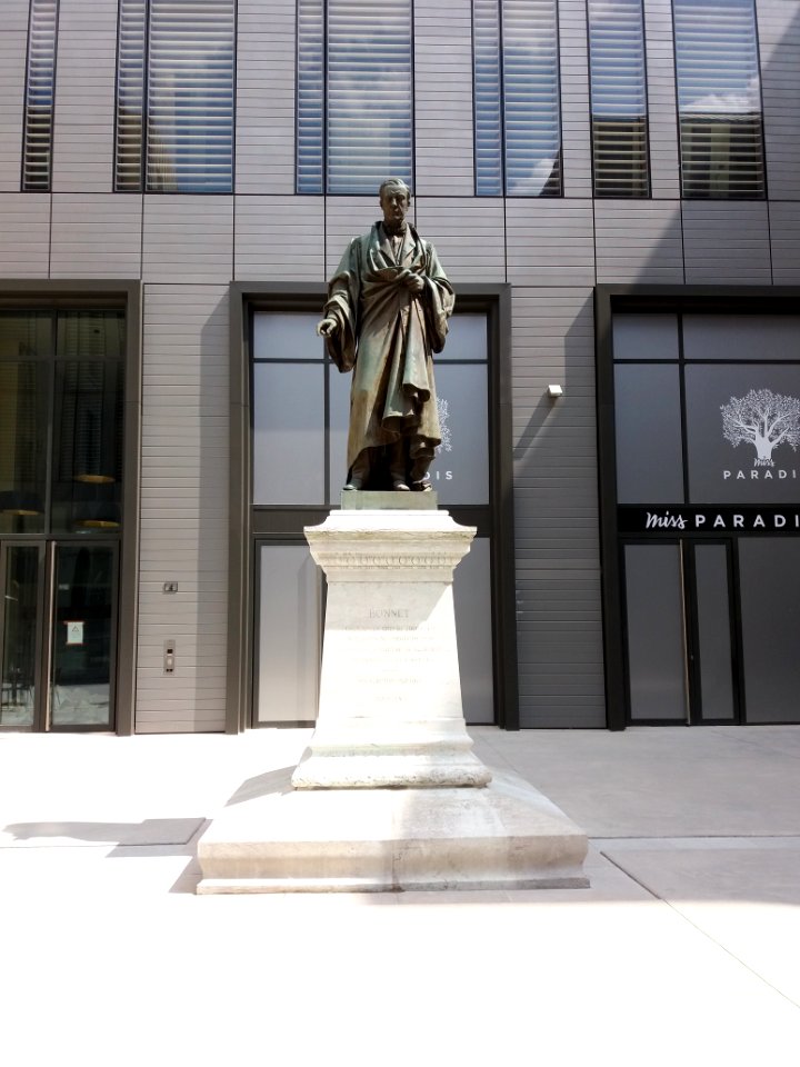 Hôtel-Dieu de Lyon - Statue d'Amédée Bonnet