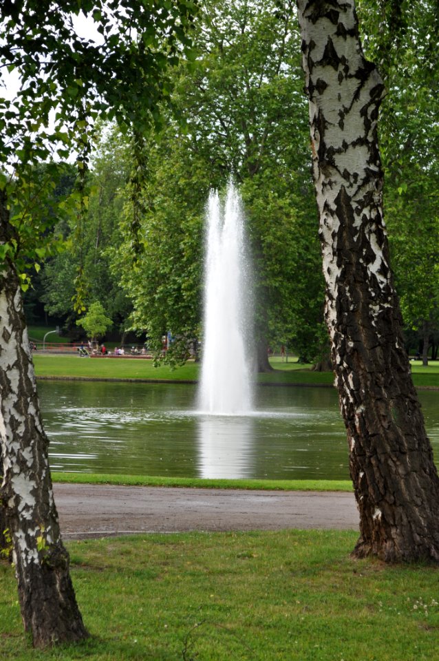 Höchst, Stadtpark, Fontäne (1)