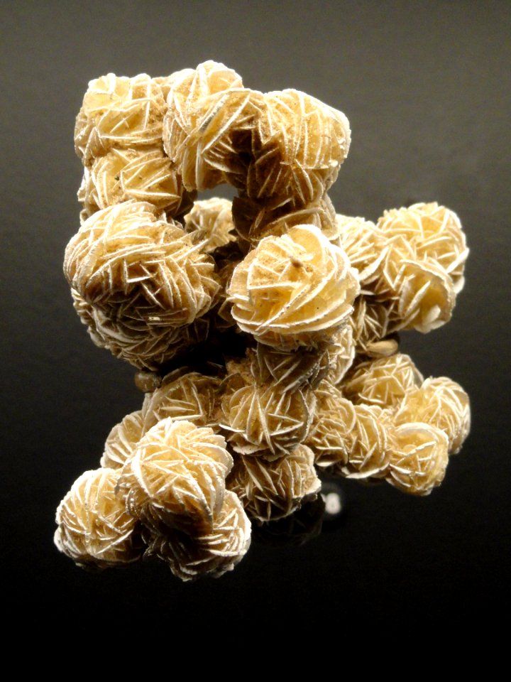 Gypsum 'desert roses', Chihuahua, Mexico - Natural History Museum of Utah - DSC07463