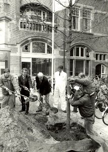 Haarlem is sinds gisteren een plataan rijker. Het nieuwe stukje groen aan het Stationsplein is een cadeau van de Bomenstichting aan de NS. De stichting bestaat twintig jaar en wil dit jubileum kracht 