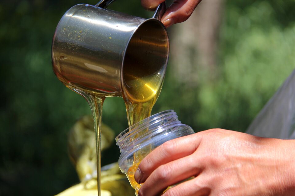 Honey cup beekeepers