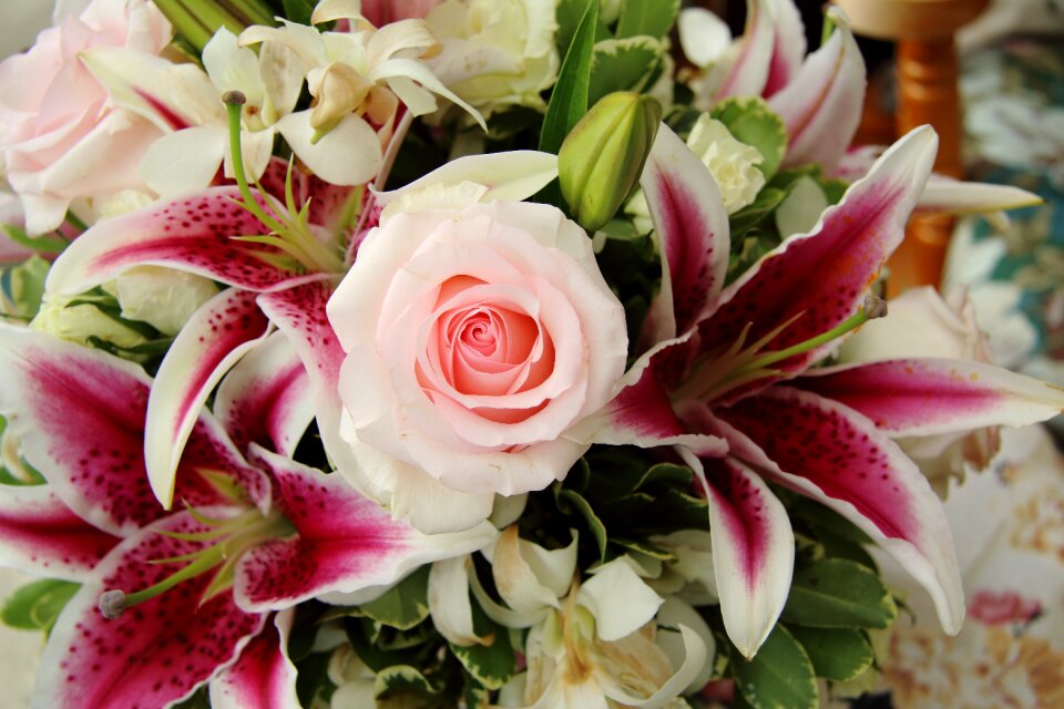 Spring blossom flower