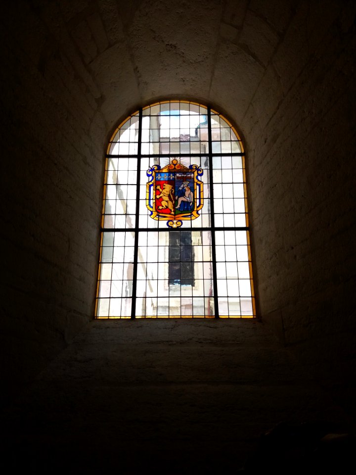 Hôtel-Dieu de Lyon - Vitrail