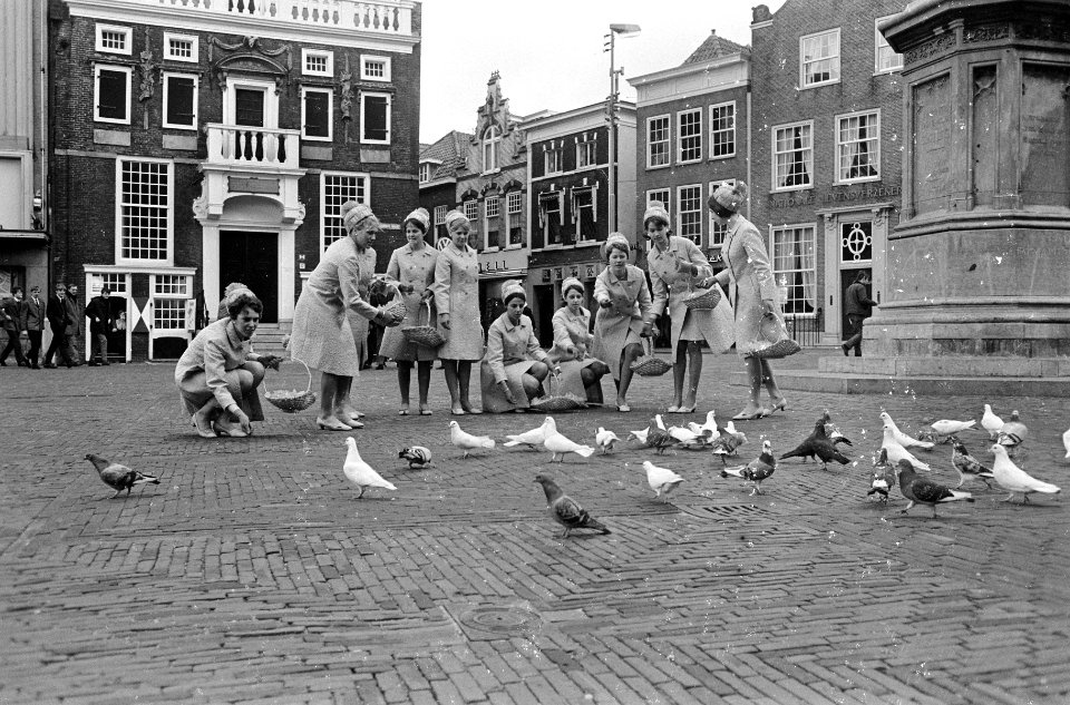 Haarlemse bloemenmeisjes, Bestanddeelnr 920-1330