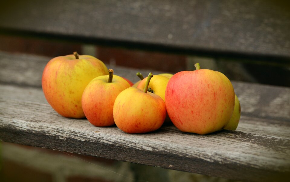 Windfall garden healthy