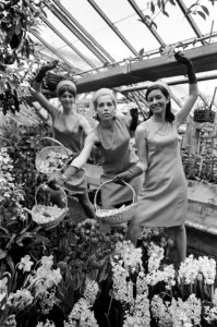 Haarlemse Bloemenmeisjes Anne en Charlotte onder paraplue Een van de bloemenmeis, Bestanddeelnr 921-1826