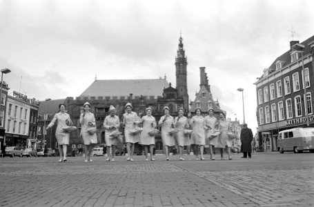 Haarlemse bloemenmeisjes, Bestanddeelnr 920-1331