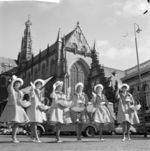Haarlemse bloemenmeisjes, Bestanddeelnr 913-6485