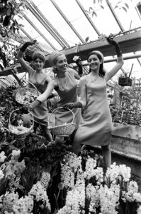 Haarlemse Bloemenmeisjes Anne en Charlotte onder paraplue De meisjes temidden va, Bestanddeelnr 921-1824