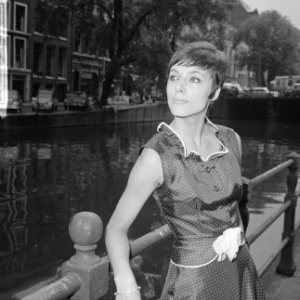 Haarstijl Tendens 1966, van dameskapper Mario (kort kapsel, Bestanddeelnr 917-9891