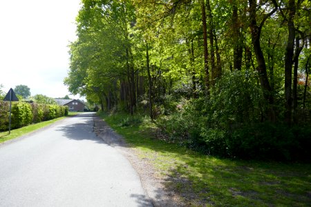 Hövelhof - Hasendorfdüne - 2