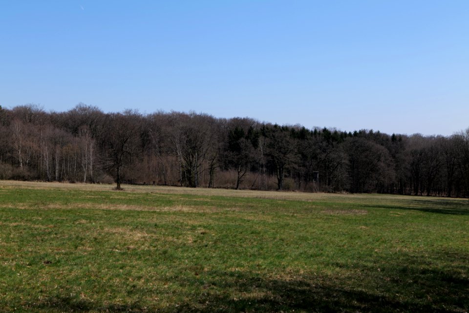 Hünerbergwiesen Oberursel 2020-03-25 29