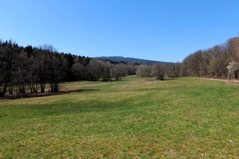 Hünerbergwiesen Oberursel 2020-03-25 01